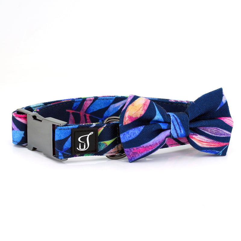 Wave Dog Collar with Bow Tie